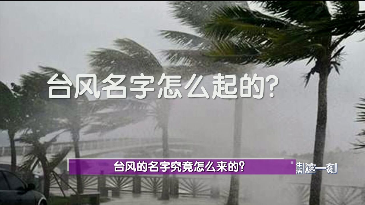 它为啥叫杜苏芮?台风的名字究竟怎么来的?