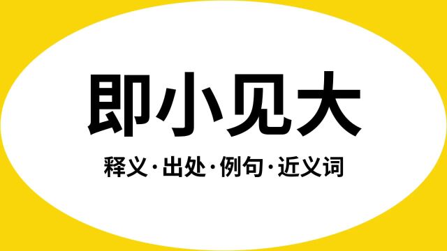 “即小见大”是什么意思?