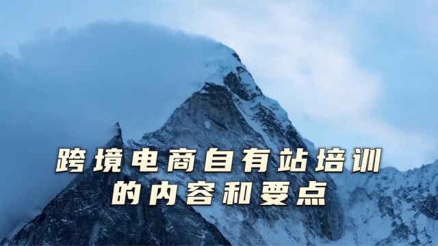 跨境电商自有站培训的内容和要点,独立站培训课程一般有哪些内容?