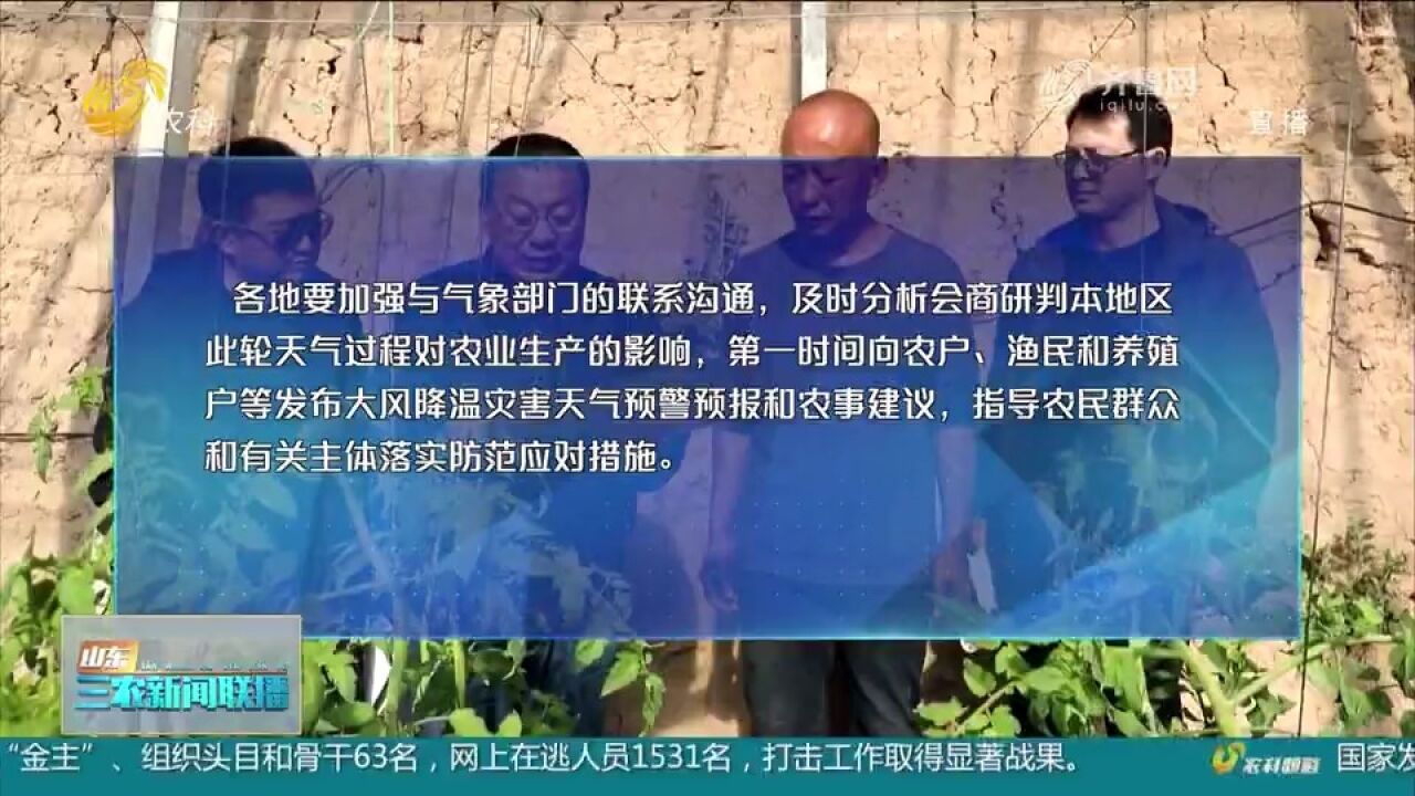 省农业农村厅:切实做好寒潮大风天气防范应对工作