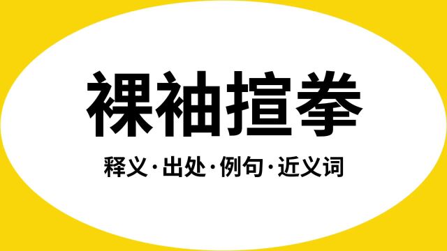 “裸袖揎拳”是什么意思?