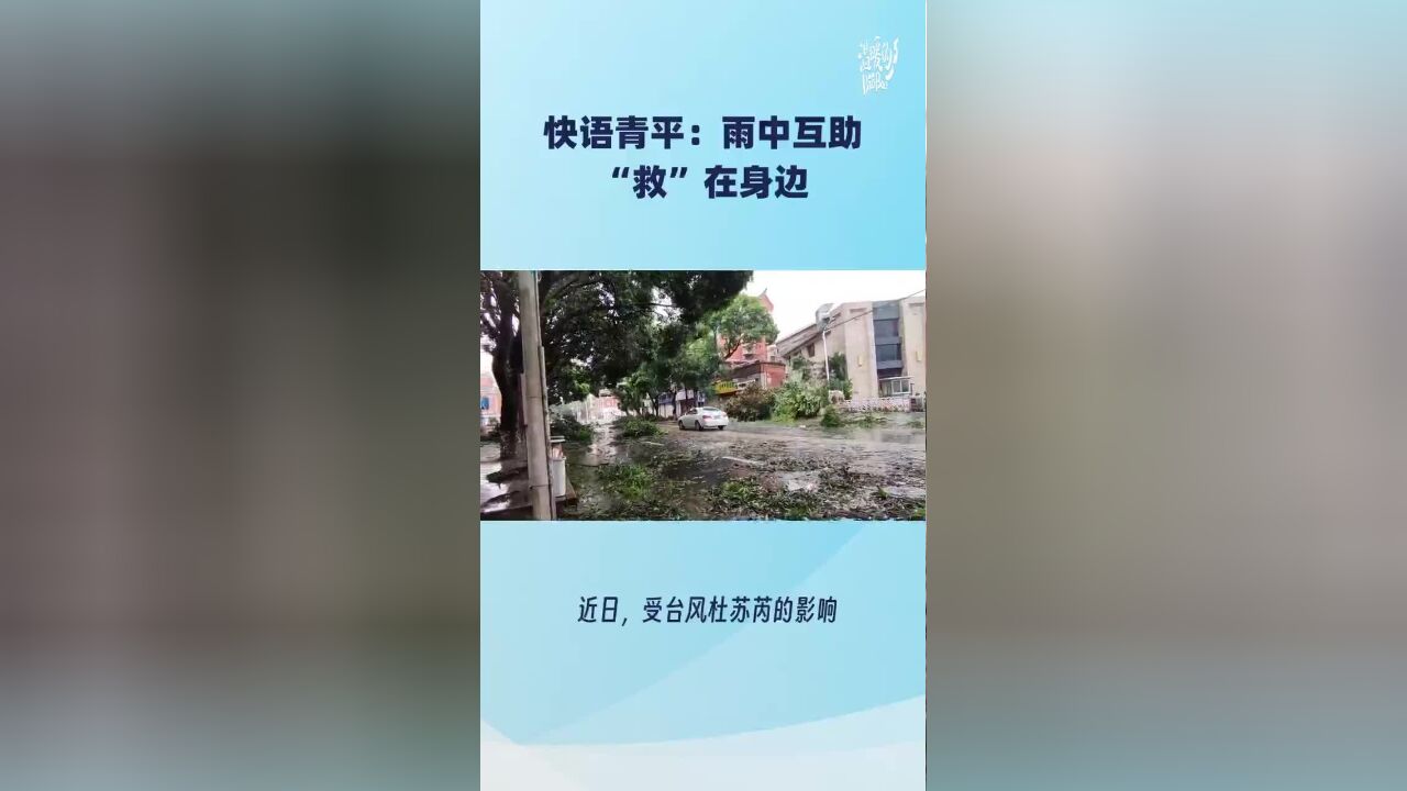 快语青平:雨中互助,“救”在身边