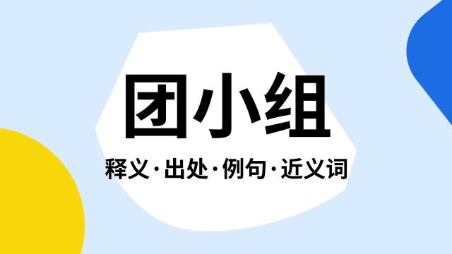 “团小组”是什么意思?