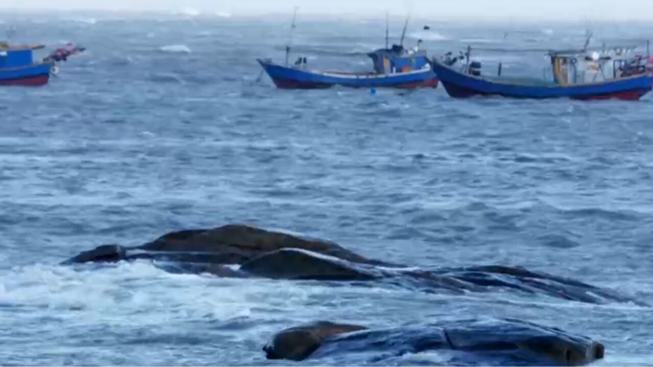 靠海而生的闽南先民用自己的智慧与力量,与大海进行着博弈