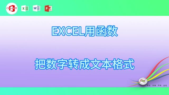 13EXCEL用函数把数字转成文本格式