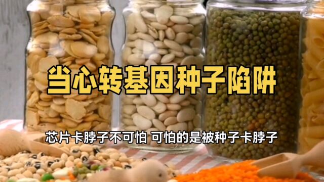 转基因技术:解决粮食短缺还是危害人类健康