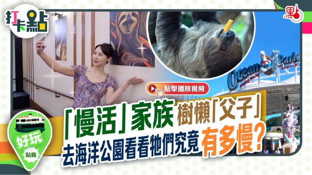 “慢活”家族树懒“父子” 去海洋公园看看牠们究竟有多慢?