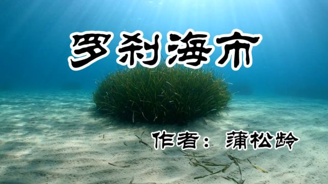 《罗刹海市》作者:蒲松龄