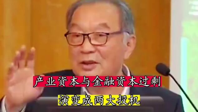 产业资本与金融资本过剩演变成两大投机