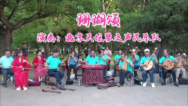 怀旧金曲《珊瑚颂》,北京天坛琴之声民乐队演奏,令人陶醉