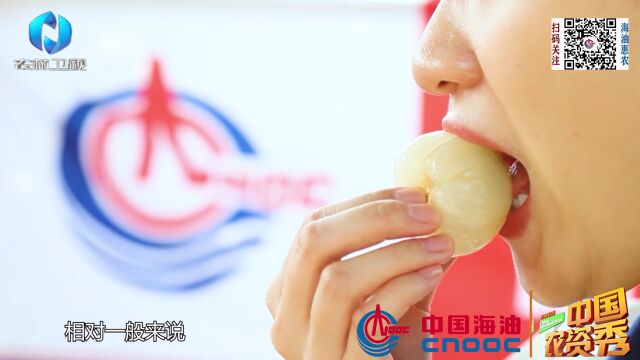 中海化学 粮安中国万里行—什么是高品质荔枝?看看他们怎么说!