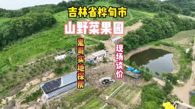 吉林省桦甸市山庄果园鱼池农家小院找鬼哥帮忙处理实地探房谈价