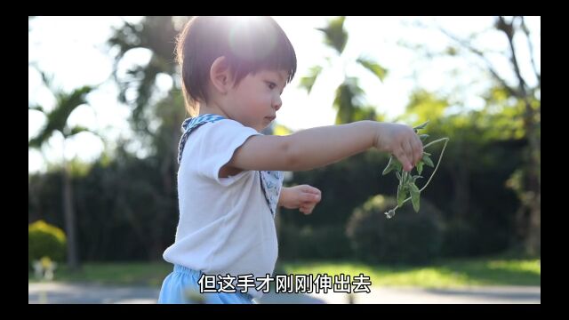 《团宠警告玄学萌宝捧上天》安宝小说全集已完结