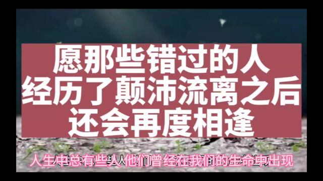 愿那些错过的人,经历了颠沛流离之后还会再度相逢