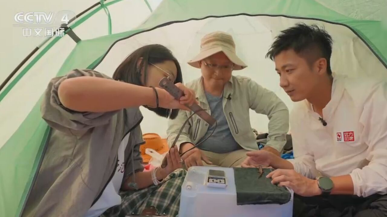 新疆师范大学的袁亮教授带着学生,正在保护区进行新疆北鲵的研究工作