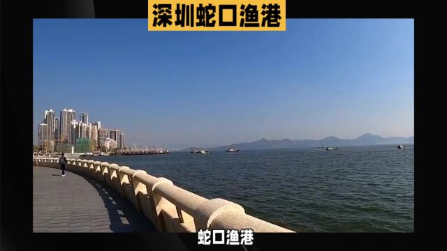 深圳蛇口渔港:海鲜美食的天堂