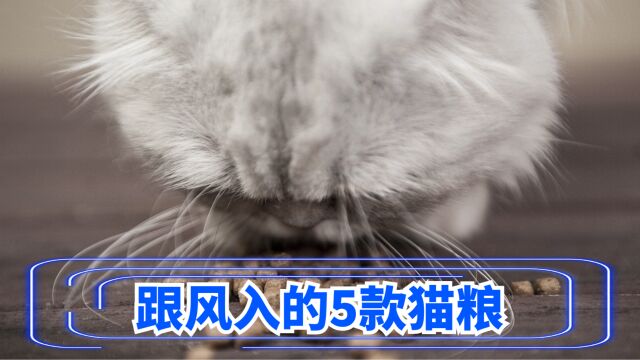 跟风入的5款猫粮,没踩雷!