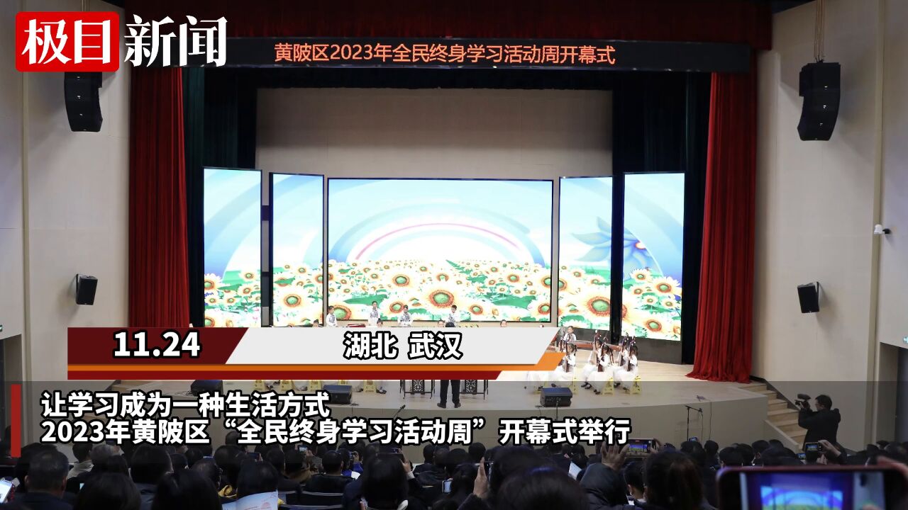 【视频】让学习成为一种生活方式!武汉市黄陂区“全民终身学习活动周”开幕