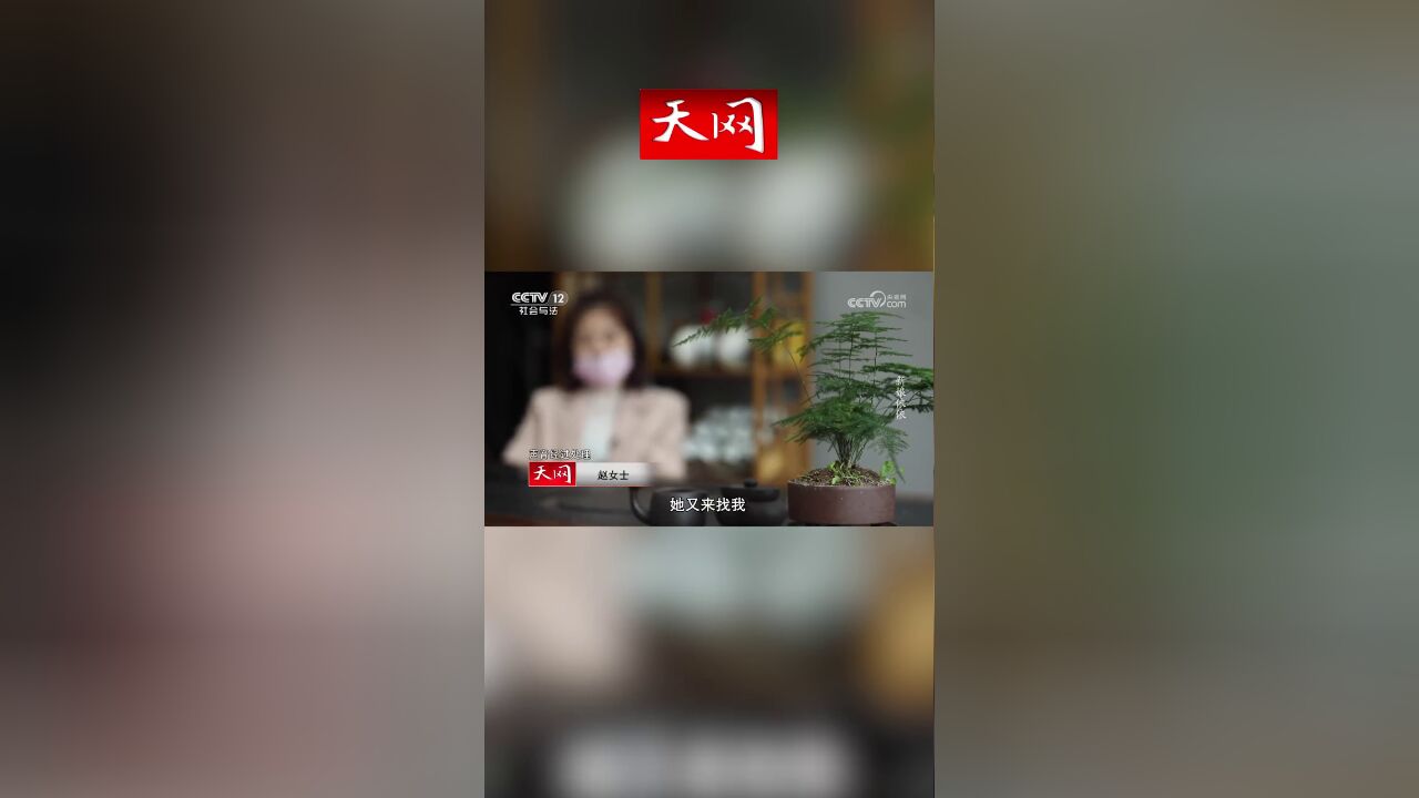 天网——新娘依依7堂嫂的异常被发现,她到底在隐瞒什么?