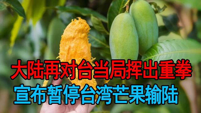 “谋独”之举不可原谅,大陆暂停岛内芒果进口,开始削减对台让利