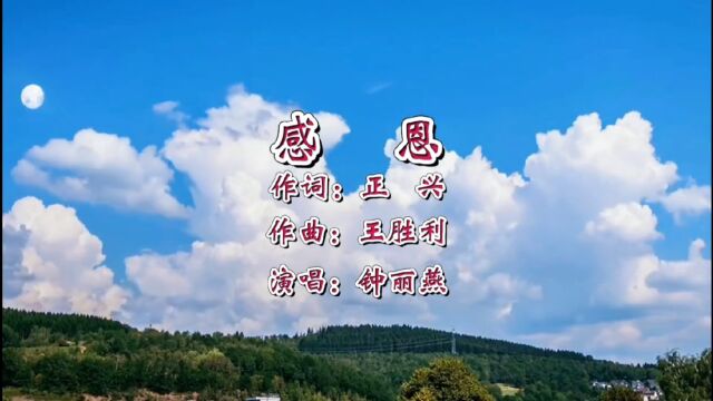 感恩 作词:正兴 作曲:王胜利 演唱:钟丽燕