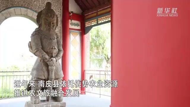 央媒看沧州 | 河北南皮:农文旅融合助力乡村振兴