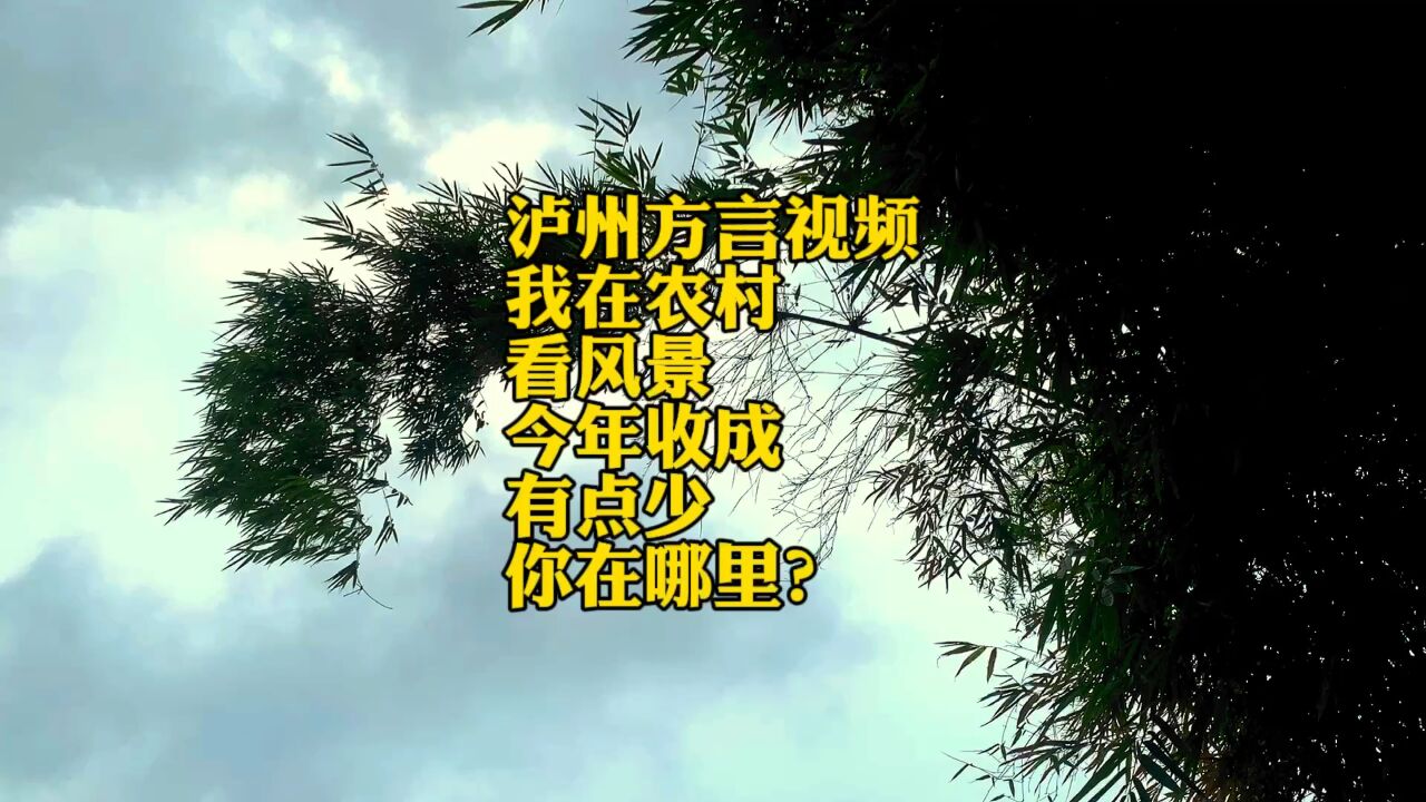 泸州话来了,我在泸州农村感受秋天的风,今年收成如何?