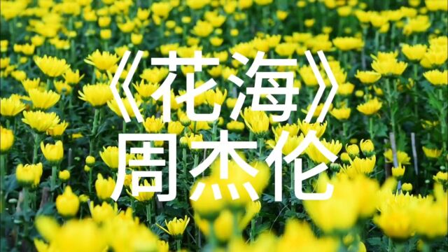 《花海》周杰伦,浪漫不止星空花海,还有烟火人间.