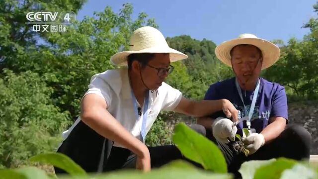 云丘山景区成立元谷希望农场,接纳当地一些身心障碍者,教他们学习技能、自力更生