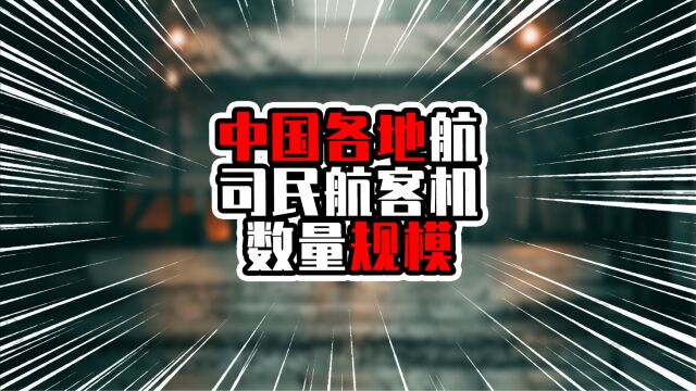 中国各地航司民航客机数量规模,前三甲来着北上广,都超过500架