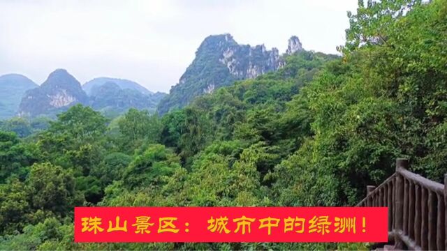 珠山景区:城市中的绿洲!