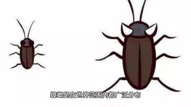 “北灭蟑螂、南征白蚁”,除虫师是一帮什么人?