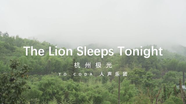 The Lion Sleeps Tonight — 杭州极光合唱团