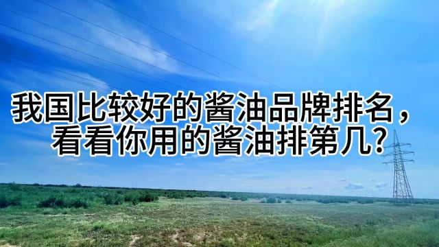 我国比较好的酱油品牌排名,看看你用的酱油排第几?