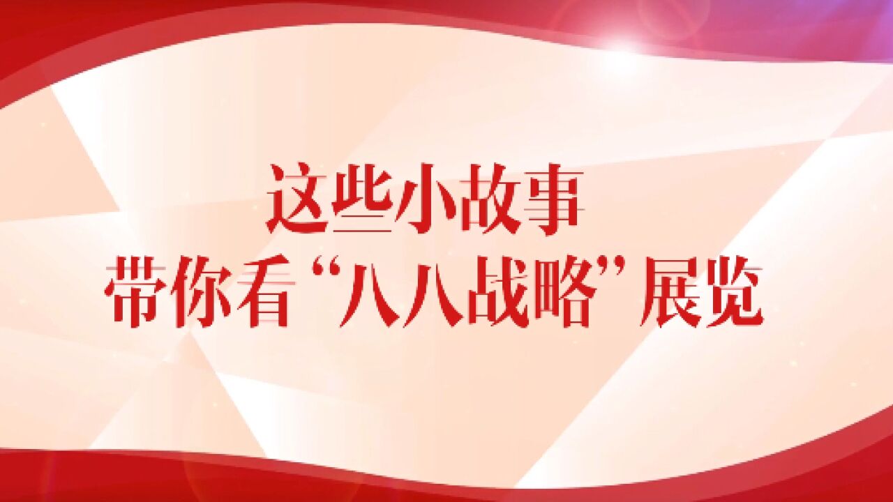 这些小故事 带你看“八八战略”展览丨“可以,你来吧”