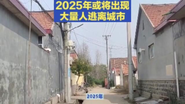 2025年或将出现大量人逃离城市 #新农人 #农村 #逃离城市 #回家的路有多远 #远离城市的喧嚣