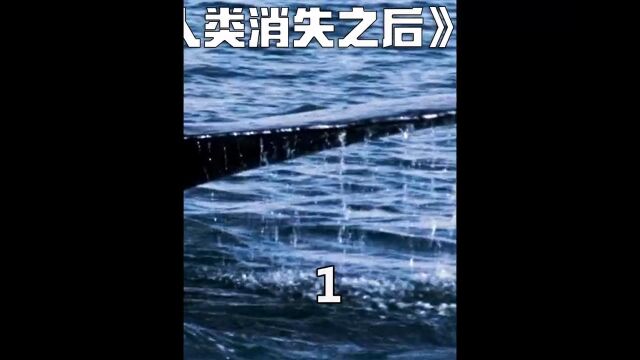 如果人类没有地球,不行.如果地球没有人类会怎样?这部片子告诉你结果.《人类消失之后》第一段