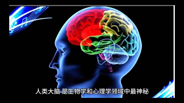 神秘的人类大脑:记忆与梦境的解密