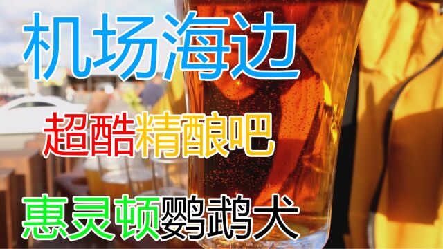 【World Beer Tour】开在机场和海边的超酷酒吧,惠灵顿【鹦鹉犬】探店