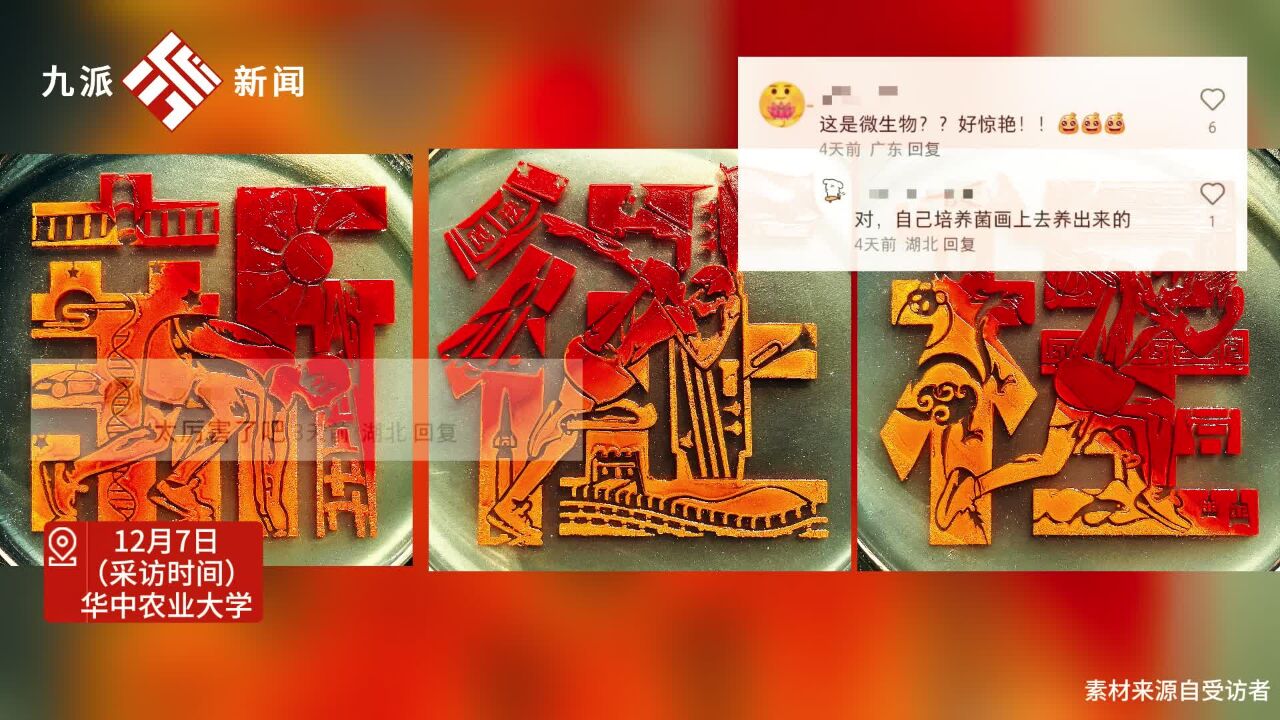 近日,湖北武汉.在纸上画画太简单?华农大学生用细菌作画:用粘质沙雷氏菌红色、橙色菌种打造“中国红”