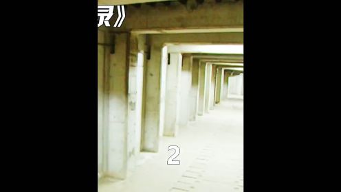 《灵异隧道实录》23凌晨隧道深处传出诡秘哀嚎，小队一探究竟