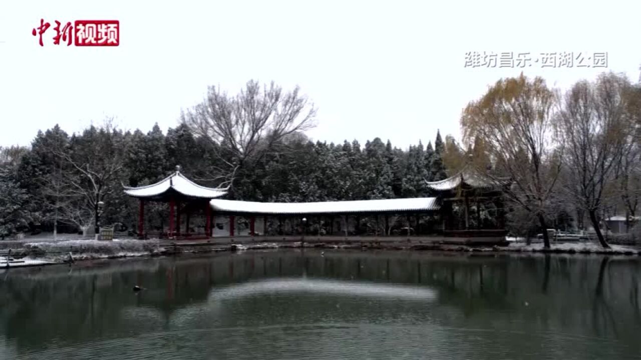 视频|山东多地迎来降雪,一起来看如画雪景