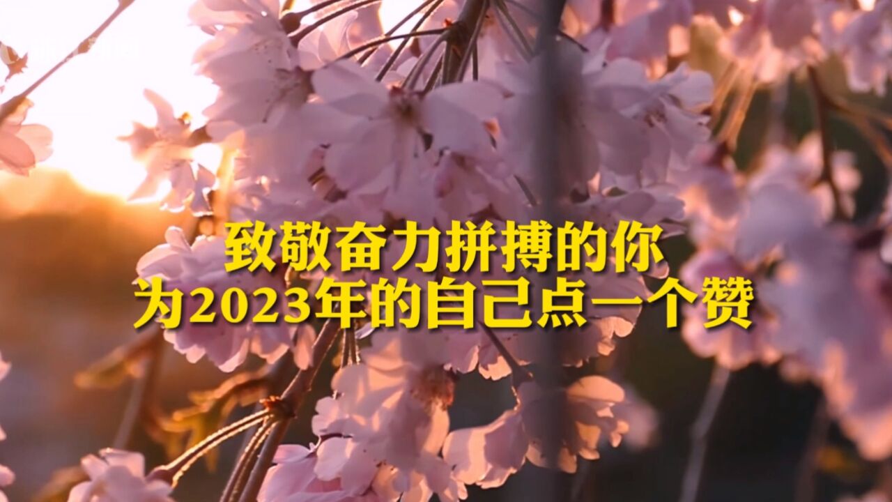 回忆2023:世事纷扰 唯有真情动人