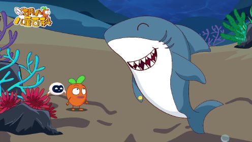 第02集：大白鲨也牙疼