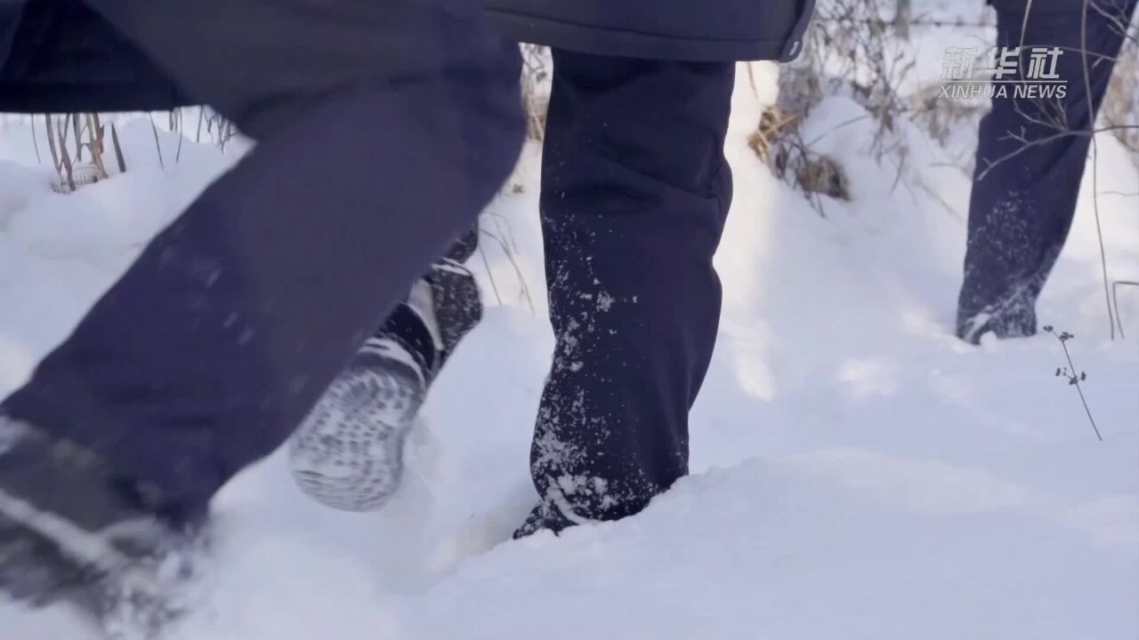 吉林通化:踏雪巡边迎新年