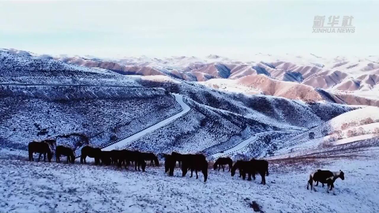 千城胜景|北境ⷮŠ赛罕