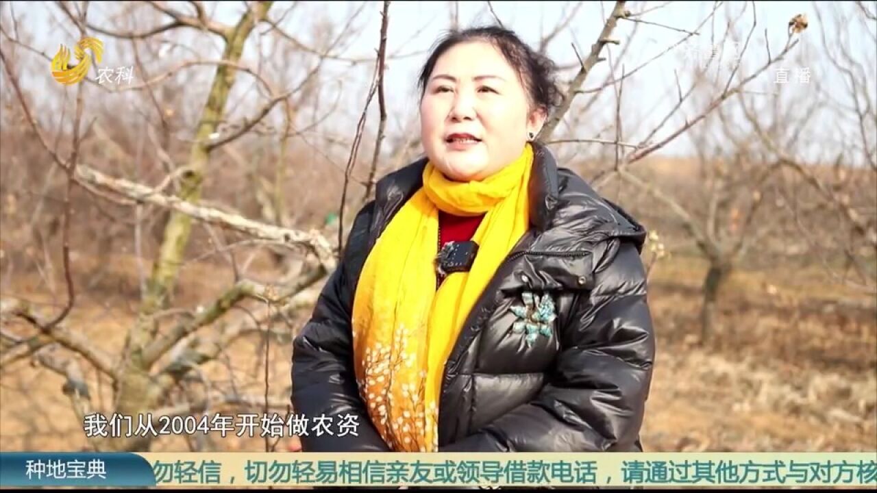 于春霞:深耕农资领域20余年,靠精准服务赢的种植大户的信任