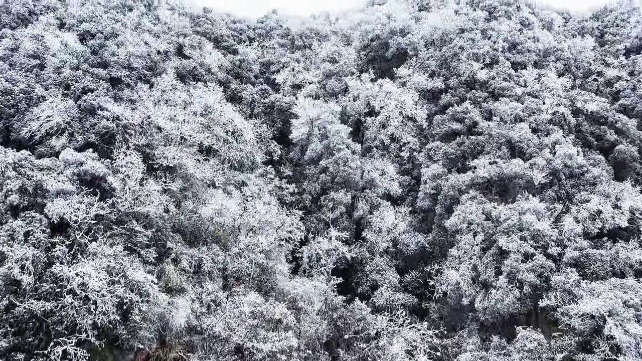 江苏省常州市,天目湖雪景