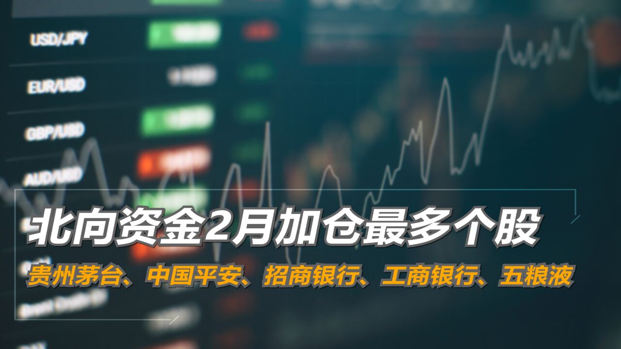 北向资金2月加仓最多个股:贵州茅台、中国平安、招商银行、工商银行、五粮液