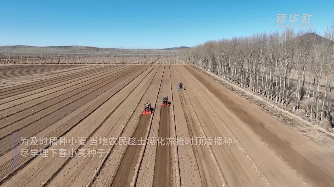 内蒙古赤峰市:人勤春来早 开春“第一犁”